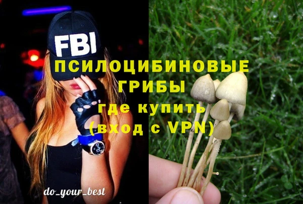 прущие грибы Верхнеуральск